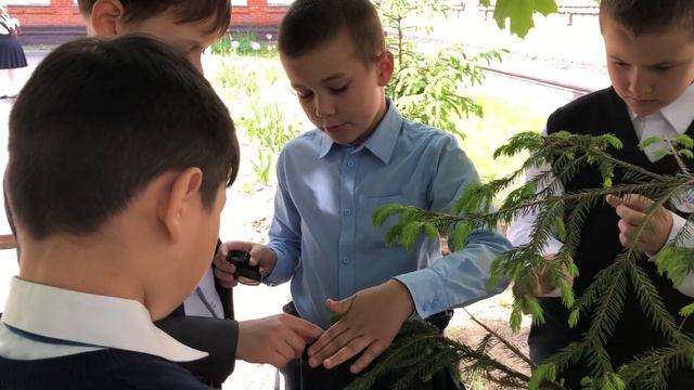 Начальное общее образование в ГБОУ Школа 2117 смотреть онлайн