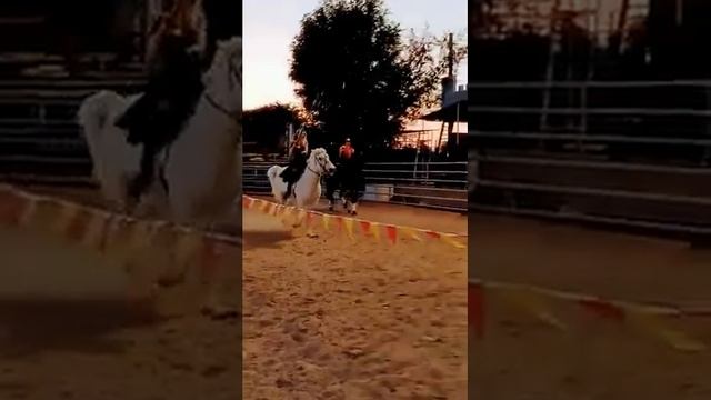 Knight School- Jousting- Rings Game- #medieval #rider #horse #games #2022 #shorts смотреть онлайн