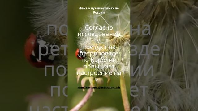 Факт о путешествиях по России смотреть онлайн