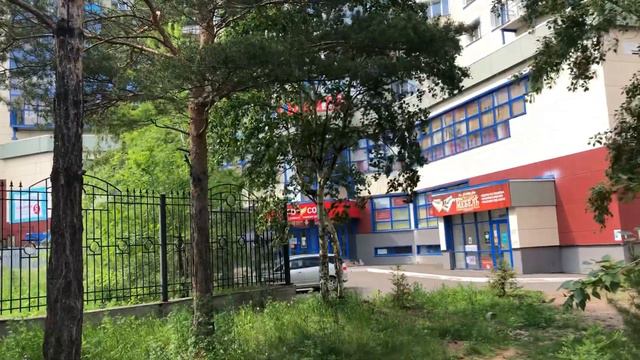 Благоустройство хвойного парка «Орбита». Братск смотреть онлайн