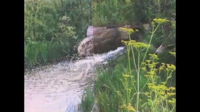 Рисунок о Родине смотреть онлайн