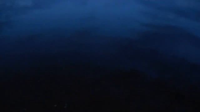 Налим Весна./Burbot Spring смотреть онлайн