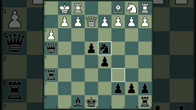 Bernard Fisher vs Wilhelm Steinitz | Casual Game | Liverpool 1872 смотреть онлайн