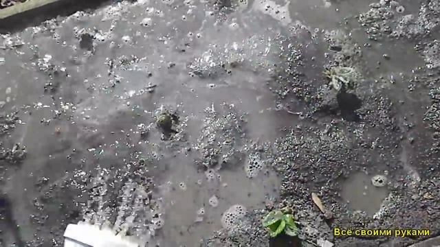 Весенний Уход За Клубникой, Первая Подкормка смотреть онлайн