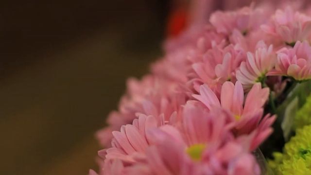Советы флористов: какие цветы можно дарить женщинам на 8 марта смотреть онлайн