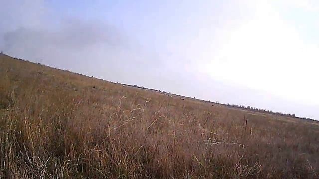 Весна основное кольцо травы и цветы 10.4.17 смотреть онлайн