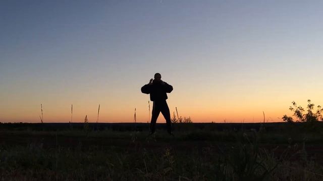 Цигун Вьетнамский цигун Ночные стены Оздоровительный цигун Вьет во Дао смотреть онлайн