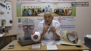Связь мозга и глаза. Двоение-диплопия.
