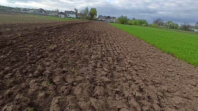 Вспашка поля на Самодельном тракторе с Конским плугом смотреть онлайн