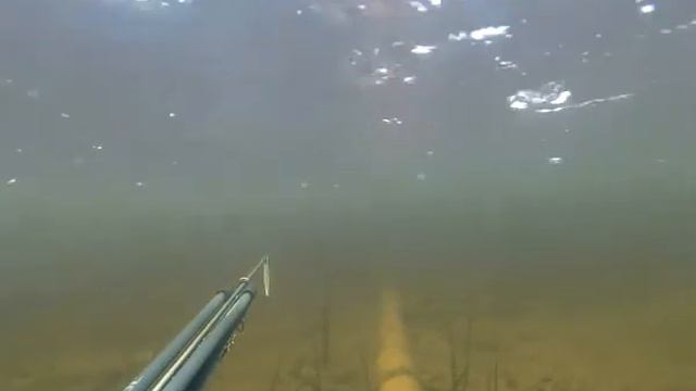 Щука утащила блесну смотреть онлайн