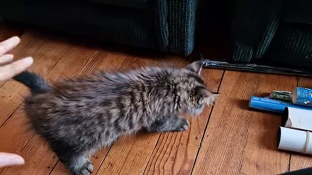 Двойной прыжок. смотреть онлайн