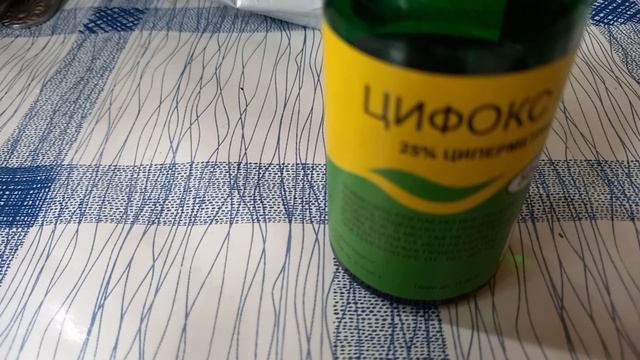 Куриный клещ! Обработка курятника Цифоксом. смотреть онлайн