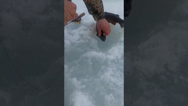 мухи зимой смотреть онлайн