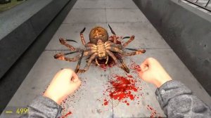 ГИГАНТСКИЕ ПАУКИ ЗАХВАТЫВАЮТ МИР! УГАР И БЕЗУМИЕ В Garry`s Mod