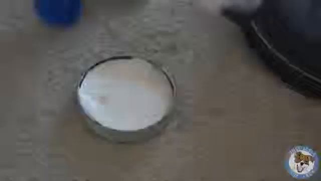 Пес помощник по дому смотреть онлайн