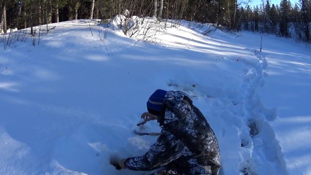 НА ТАЕЖНУЮ РЕКУ ЗА БЕЛОЙ РЫБОЙ.ЗИМНЯЯ РЫБАЛКА НА МОРМЫШКУ В ФЕВРАЛЕ. смотреть онлайн