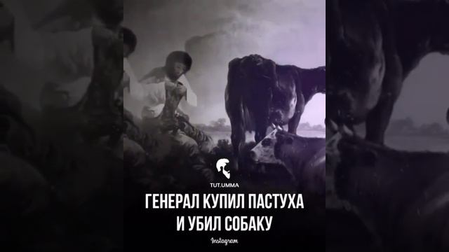 Очень интересная история #важно смотреть онлайн