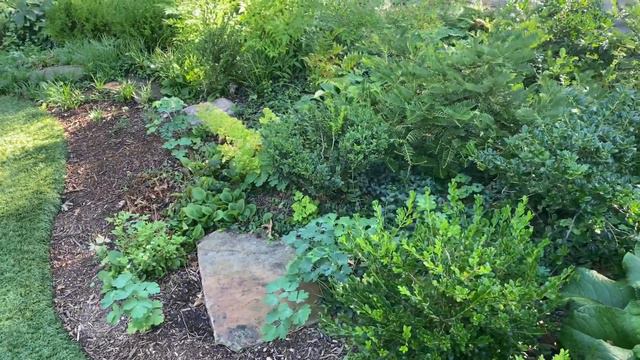 Front Yard Garden Tips смотреть онлайн
