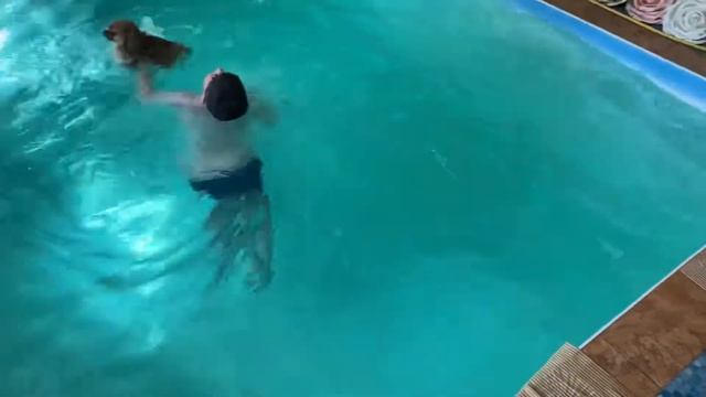 Мои дети: Тим и шпиц Магдалина купаются в бассейне/23.06.21 смотреть онлайн