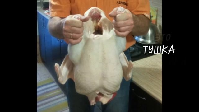 Разница в тушках индюка и индюшки смотреть онлайн