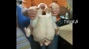 Разница в тушках индюка и индюшки