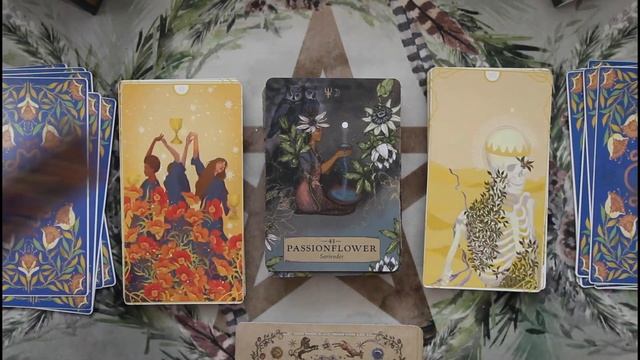Herbal Astrology Oracle #playingwithpairs смотреть онлайн