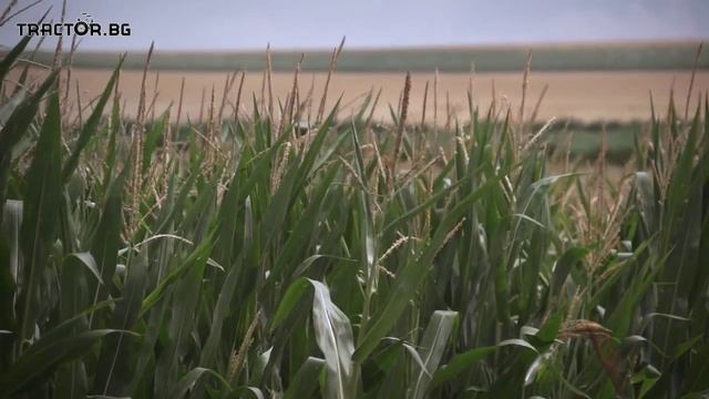 Напоителни системи с марката Casella от ТМБ на БАТА Агро Есен 2015 смотреть онлайн