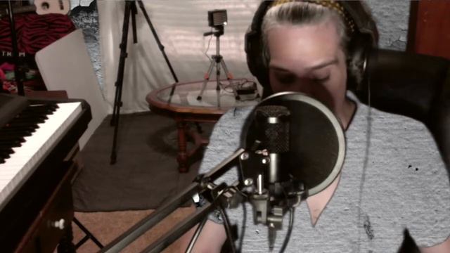 Stilnend 192kHz-24bit USB Broadcast Condenser Microphone смотреть онлайн