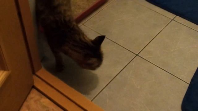 Как чистить говно смотреть онлайн