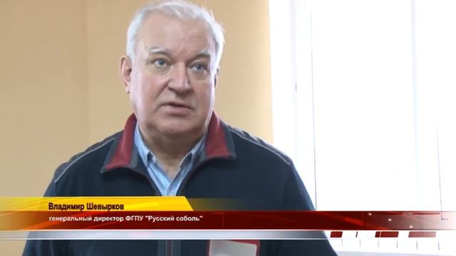 Золотой - соболь смотреть онлайн