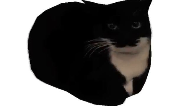 low poly cat spin to funkytown for 1 hour смотреть онлайн