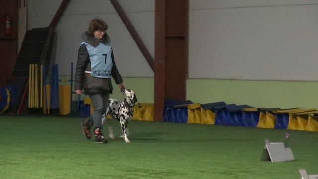 Ней Надежда Далматин Северная Соната Апельсинка соревнования по Ралли обиденс РО2 22.02.21 2 трасса смотреть онлайн