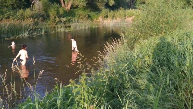 Купание на речке смотреть онлайн