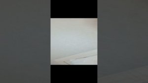 я с Настей убирала наши дома, которые мы сделали и делали 100000 раз.