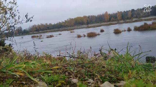 Равнодушие,лицемерие и все что за ними стоит... Гульназ Адамян смотреть онлайн