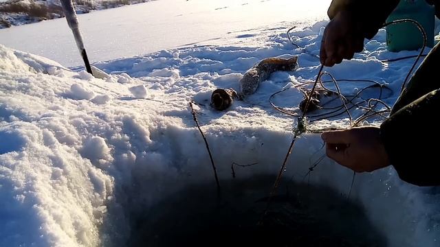 Проверка перемета на Чумыше. 16.12.2022г.г.Заринск,Алтайский край. смотреть онлайн