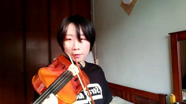 Stray Kids - Thunderous (violin cover) смотреть онлайн