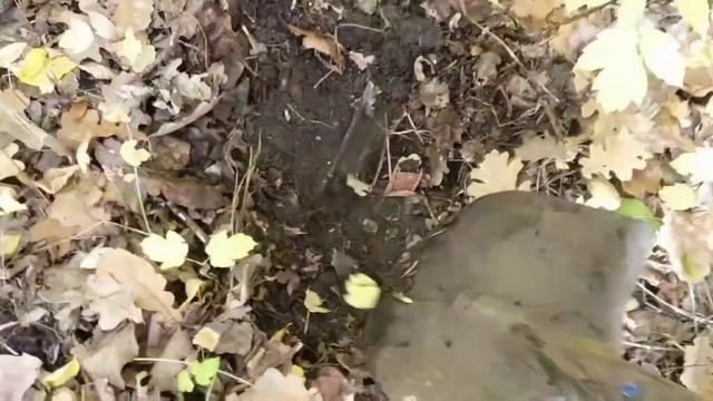 Отличный коп в лесу. Огромная яма смотреть онлайн