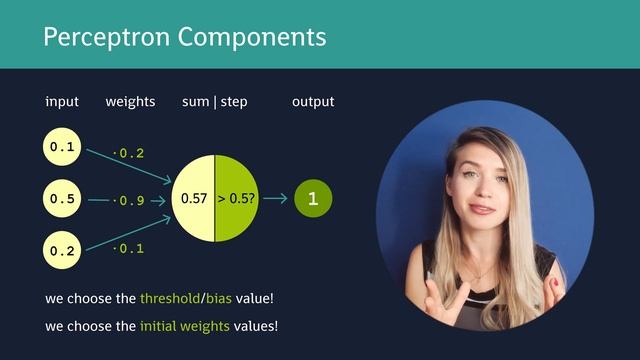 Perceptron Algorithm with Code Example - ML for beginners! смотреть онлайн