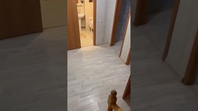 Двухуровневая квартира в аренду/Долгопрудный смотреть онлайн