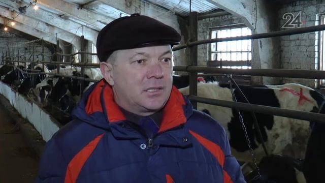 В Татарстане началась подготовка к массовому чипированию животных смотреть онлайн