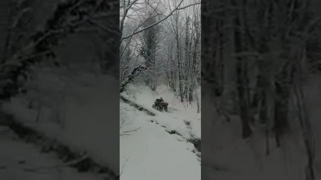 CF MOTO X6 Квадроцикл смотреть онлайн