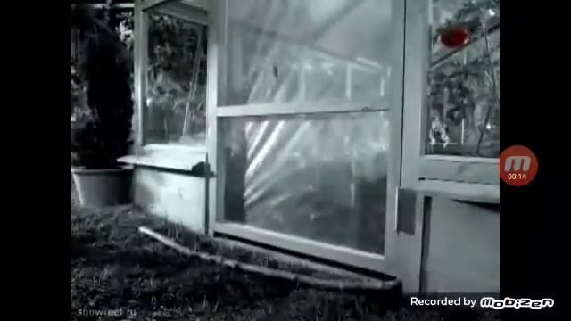 kitekat 3 смотреть онлайн