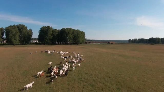 «Усадьба Лобановых» – аграрно-туристический комплекс смотреть онлайн