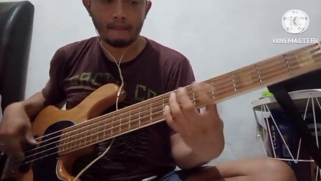 bass cover "no baby" #achinoamnini #noa смотреть онлайн