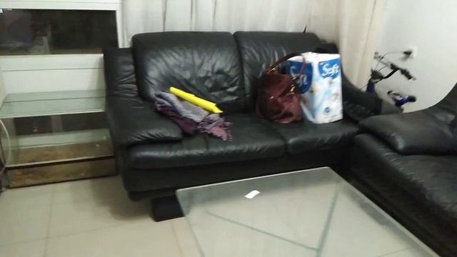 Роми-смотритель зоопарка😂🤣 смотреть онлайн