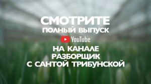 Смотрите полный выпуск на канале @Razborshik  с Сантой Трибунской!
