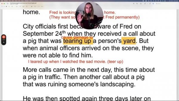 Learn English Through Stories: A2 Reading Exercise