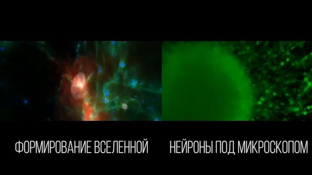 Тайна космоса и человека. смотреть онлайн