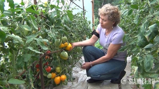 Как я сделала почву плодородной часть 5 смотреть онлайн